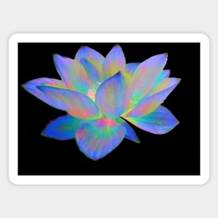 Iridescent water Lily Sticker